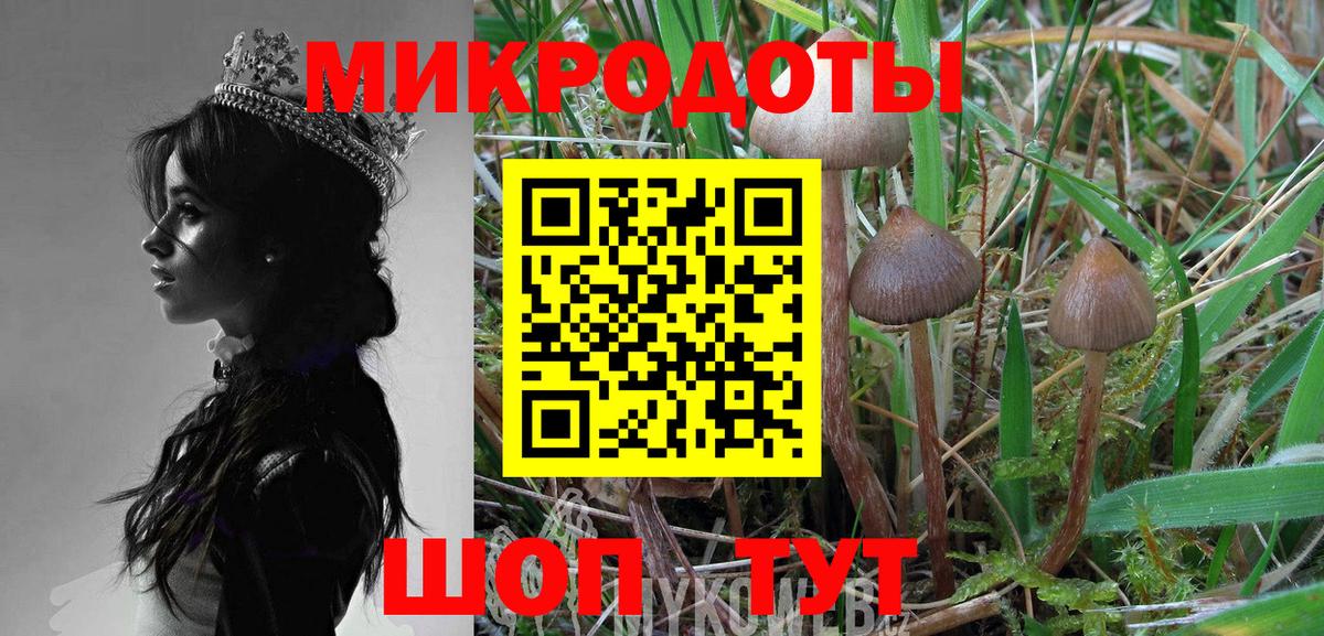 Галлюциногенные грибы MAGIC MUSHROOMS Минусинск